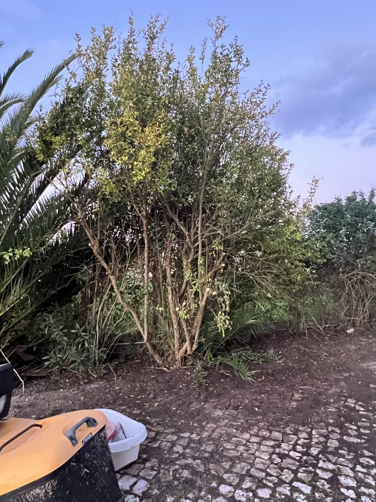 Land Clearance - Lawncare