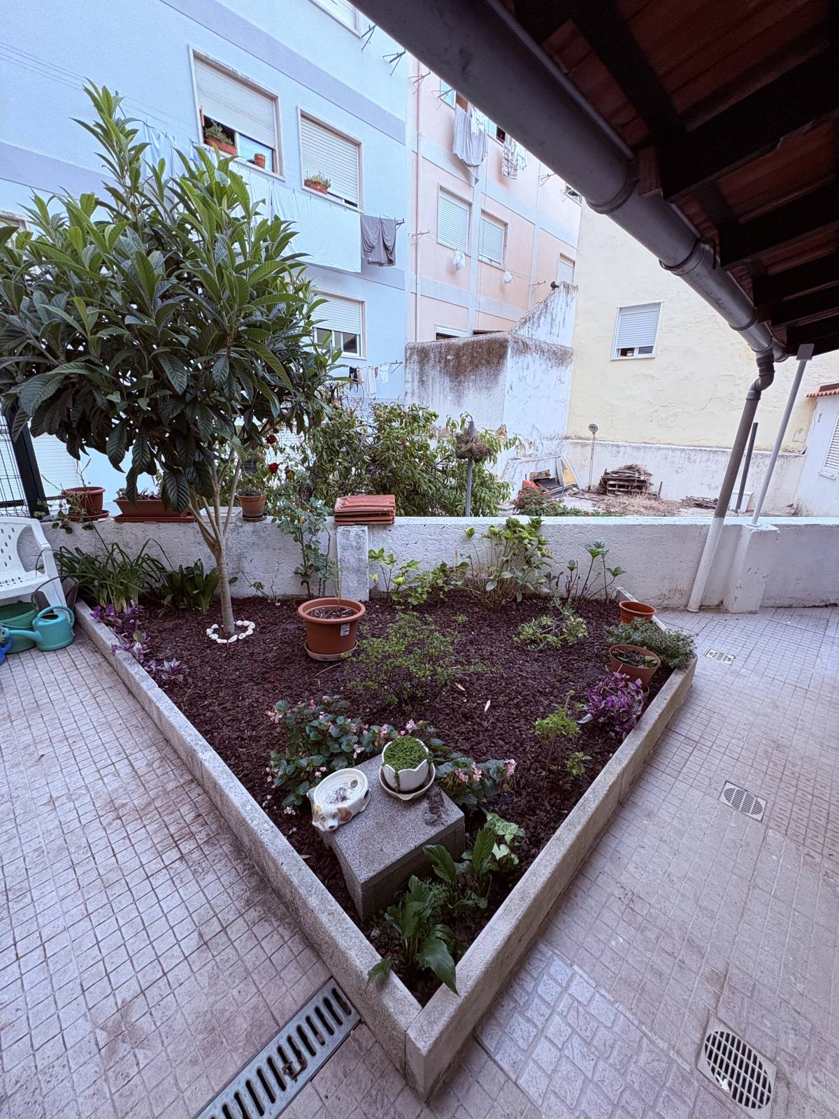 Monstera Gardening - Lisboa - Remoção de Arbustos