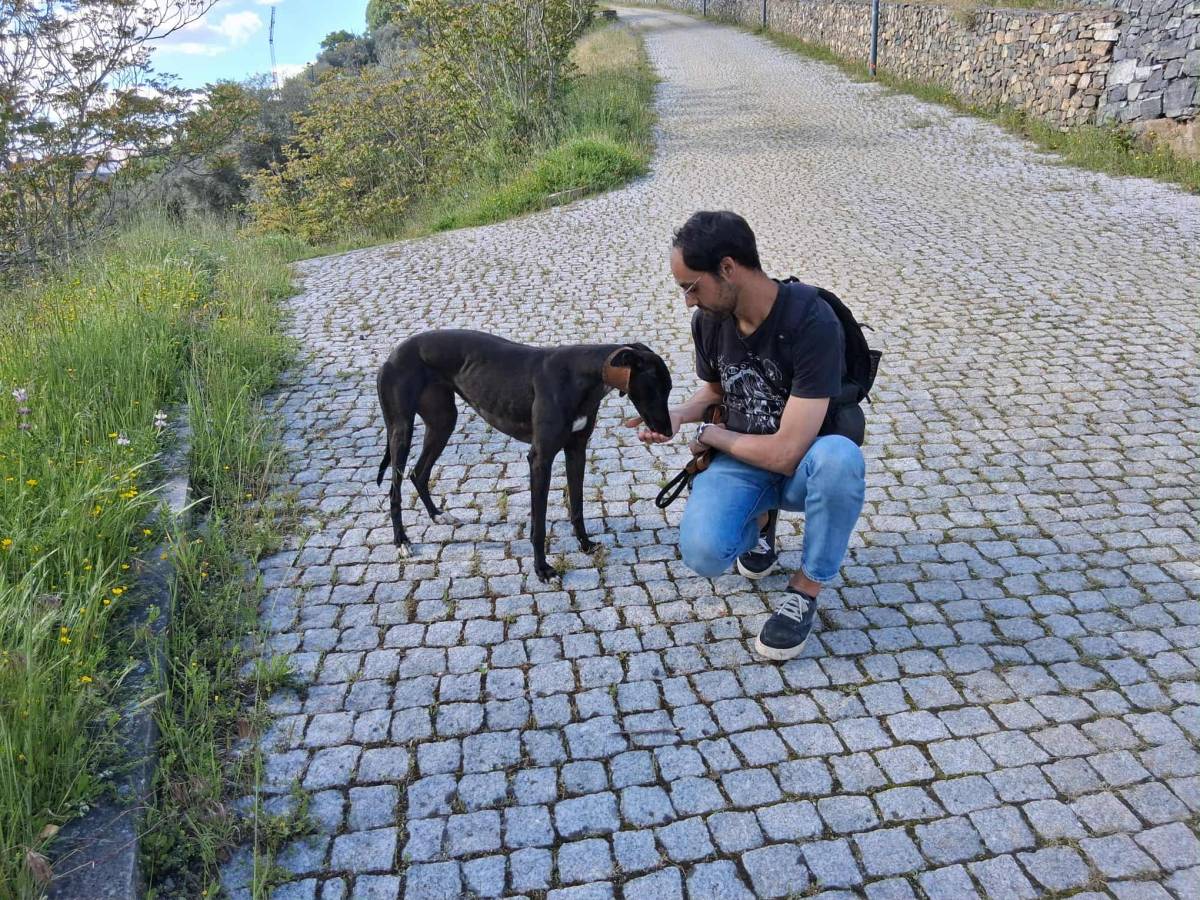 Ricardo Neves - Bragança - Katzensitter