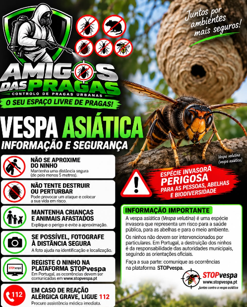 Amigos das Pragas - Vila Franca de Xira - Controlo de Pragas