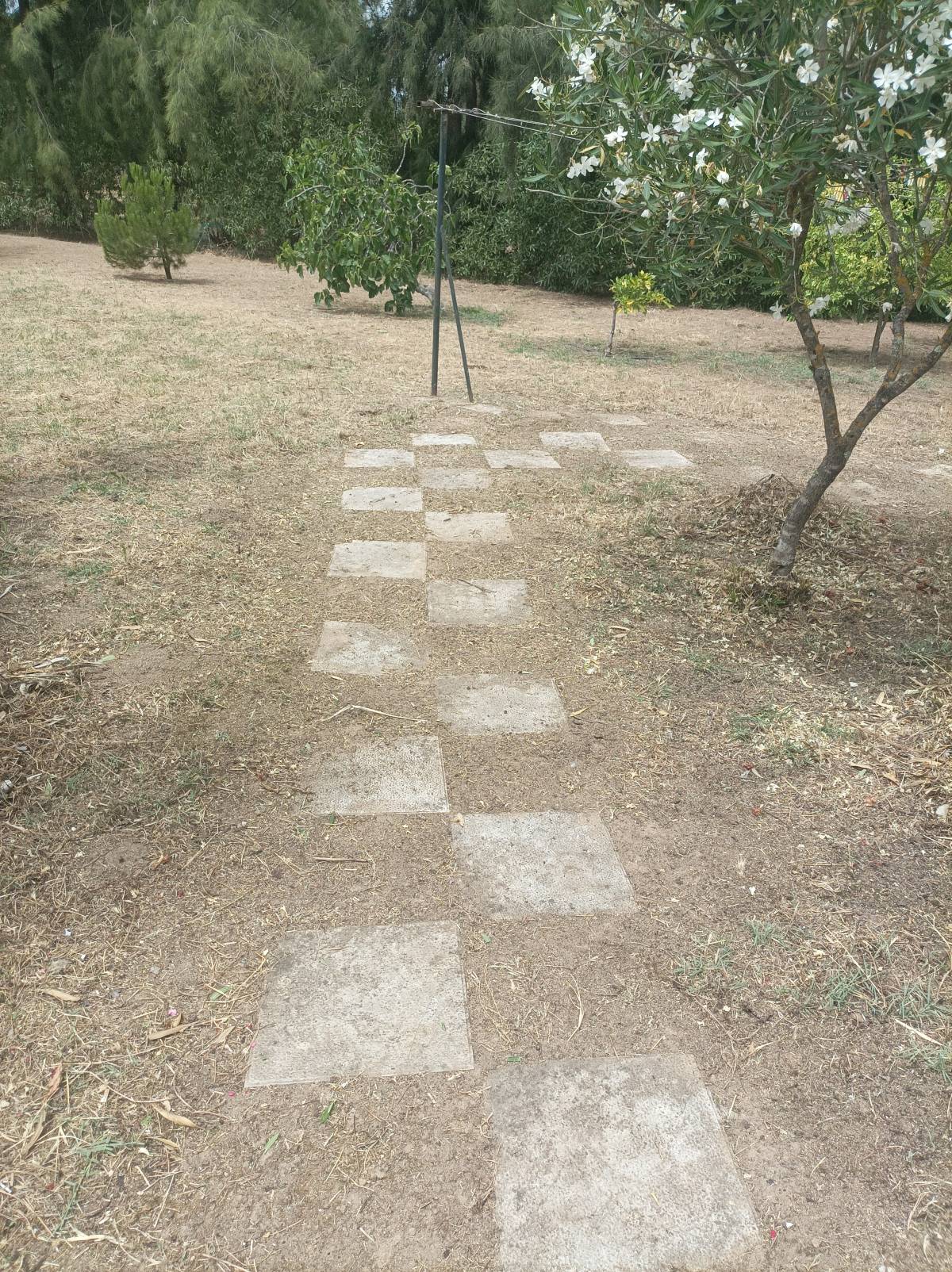 Quintais Limpos - Évora - Instalación de césped