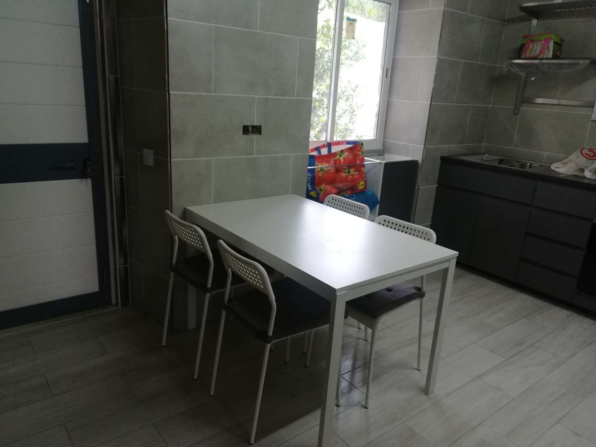 Jorge Silva - Santarém - Outdoor Plumbing Repair or Maintenance