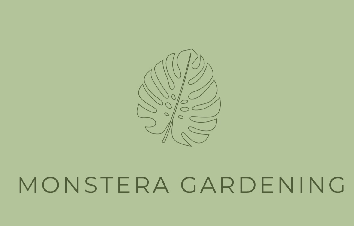 Monstera Gardening - Lisboa - Colocação de Pedra
