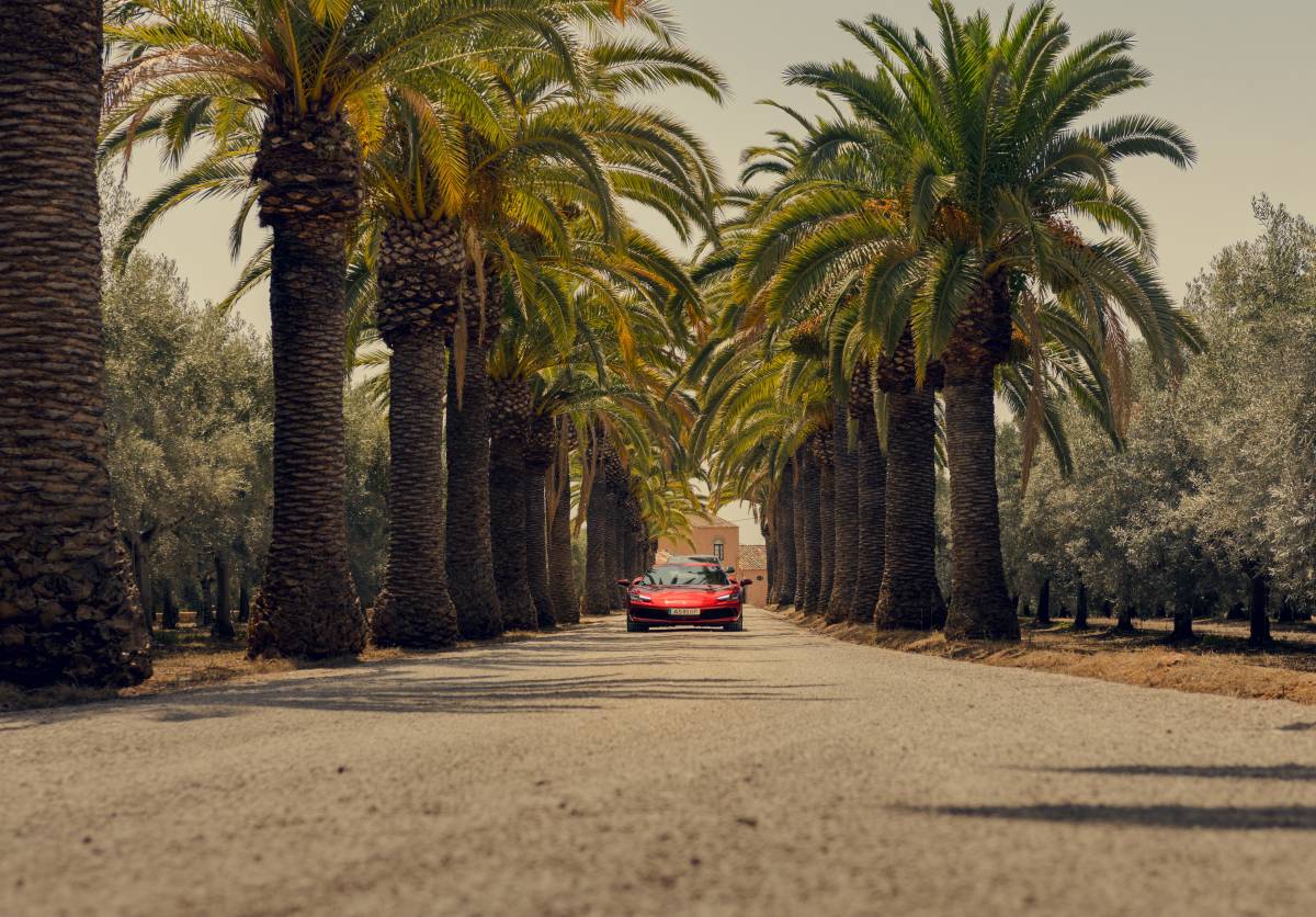 João Ferreira - Albufeira - Event Photography