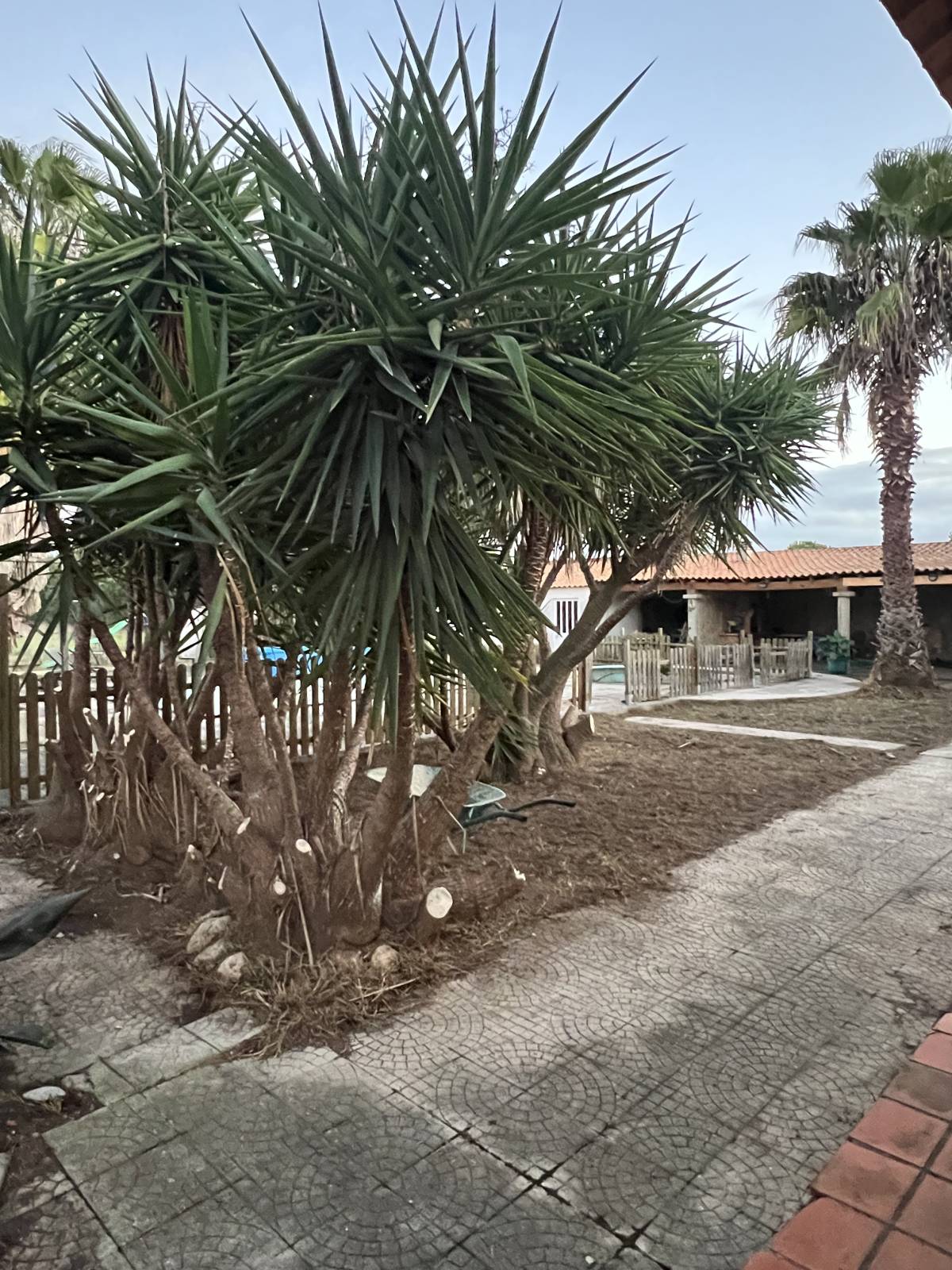 Land clearance specialist - Home Improvements