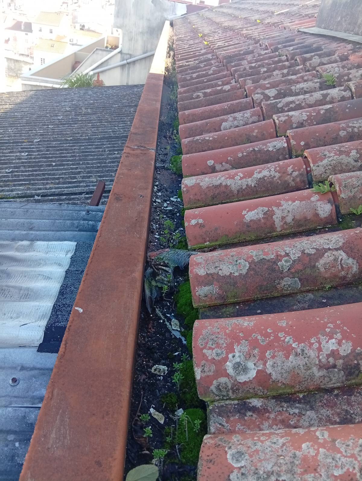 Pedro Couto - Condeixa-a-Nova - Canalização