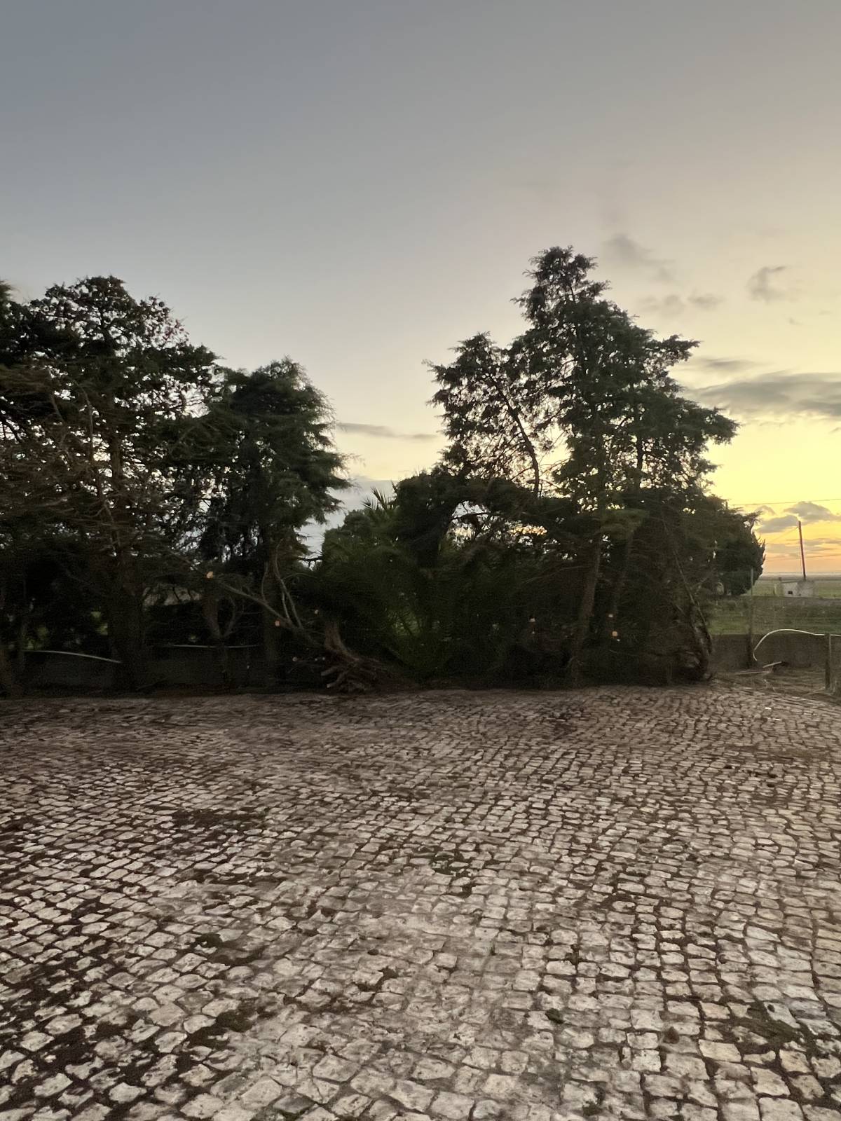 Land clearance specialist
