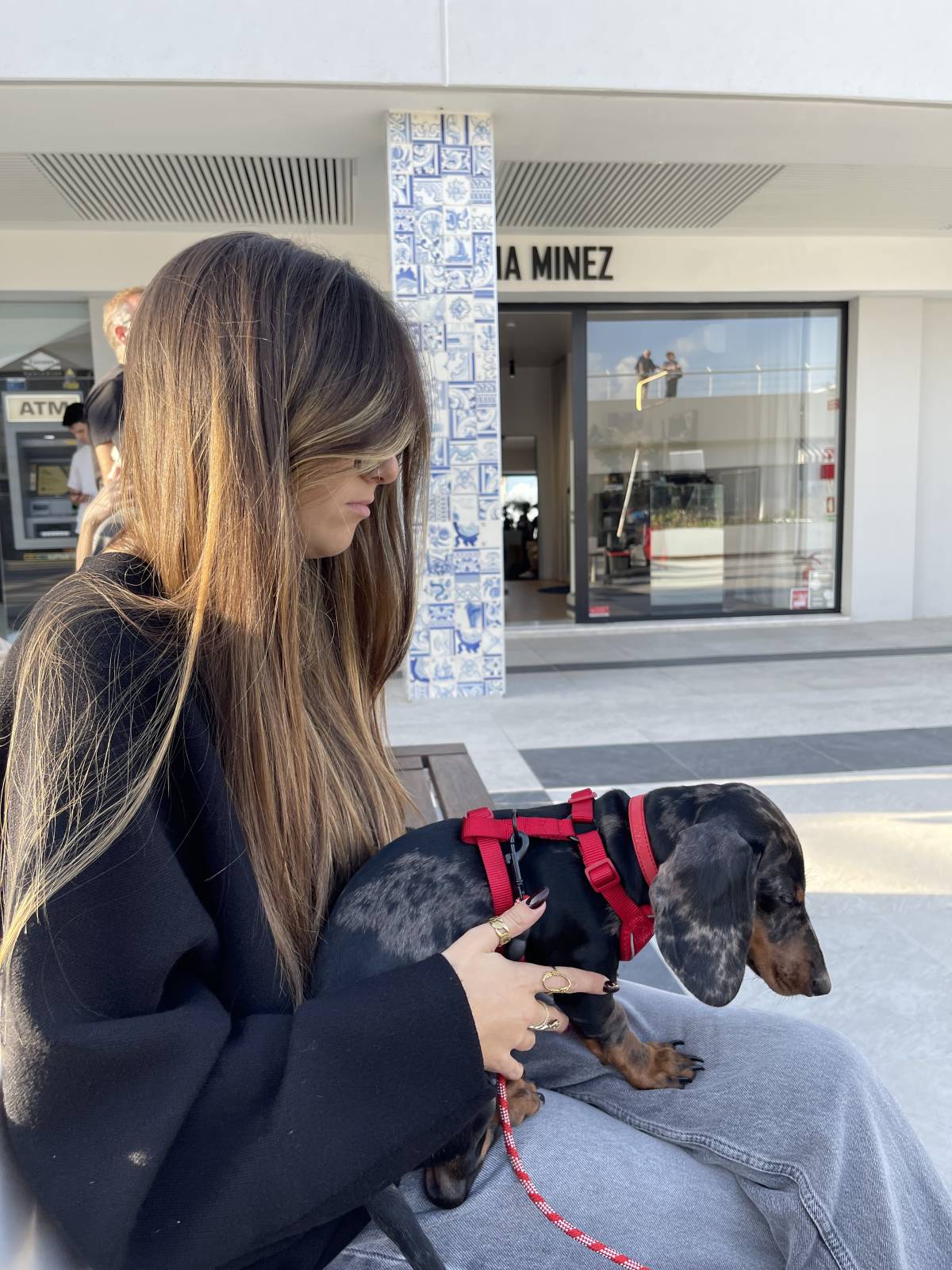 João e Sara - Odivelas - Pet Sitting and Walking