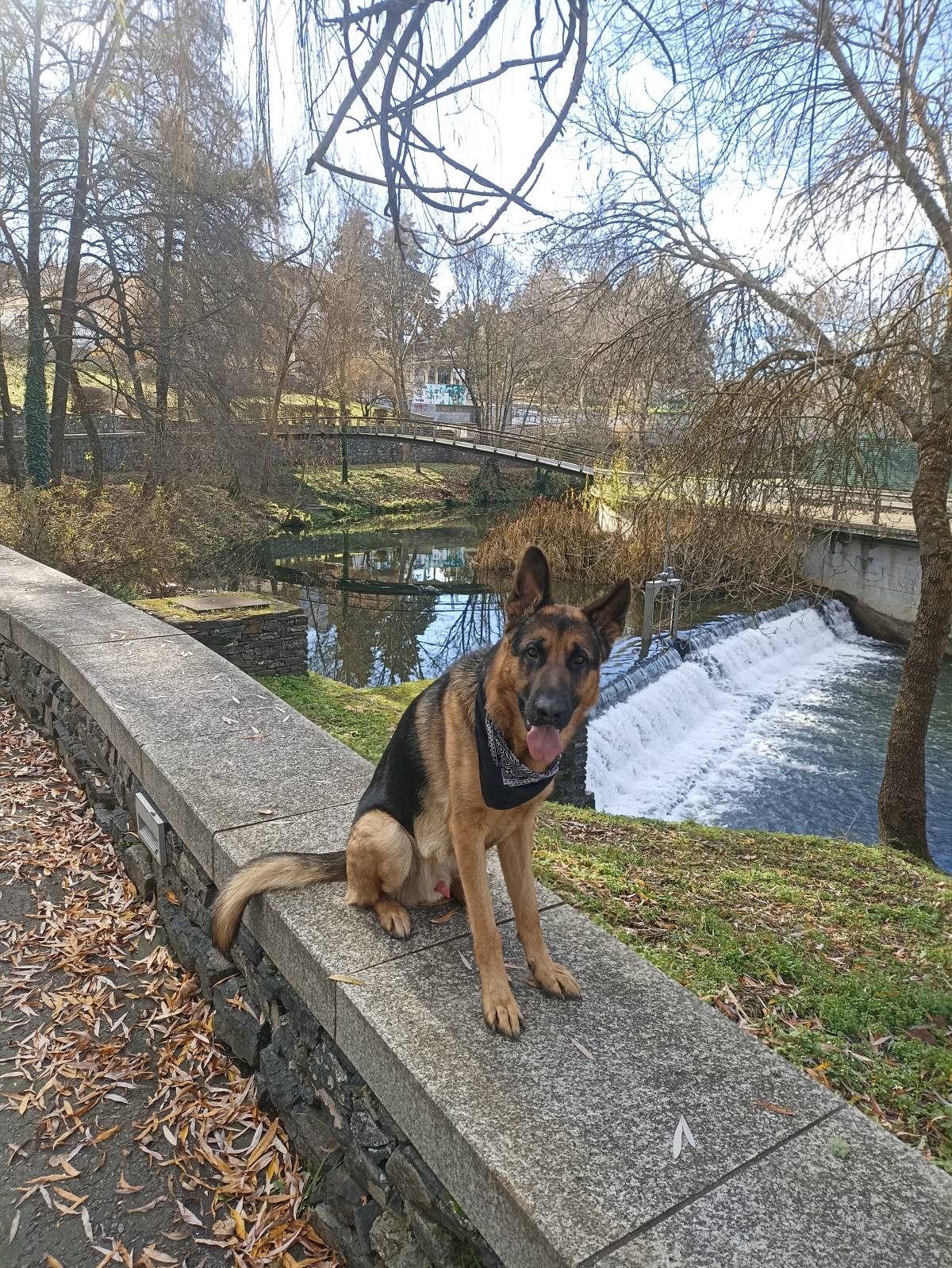 Ricardo Neves - Bragança - Gelegenheitsjobs