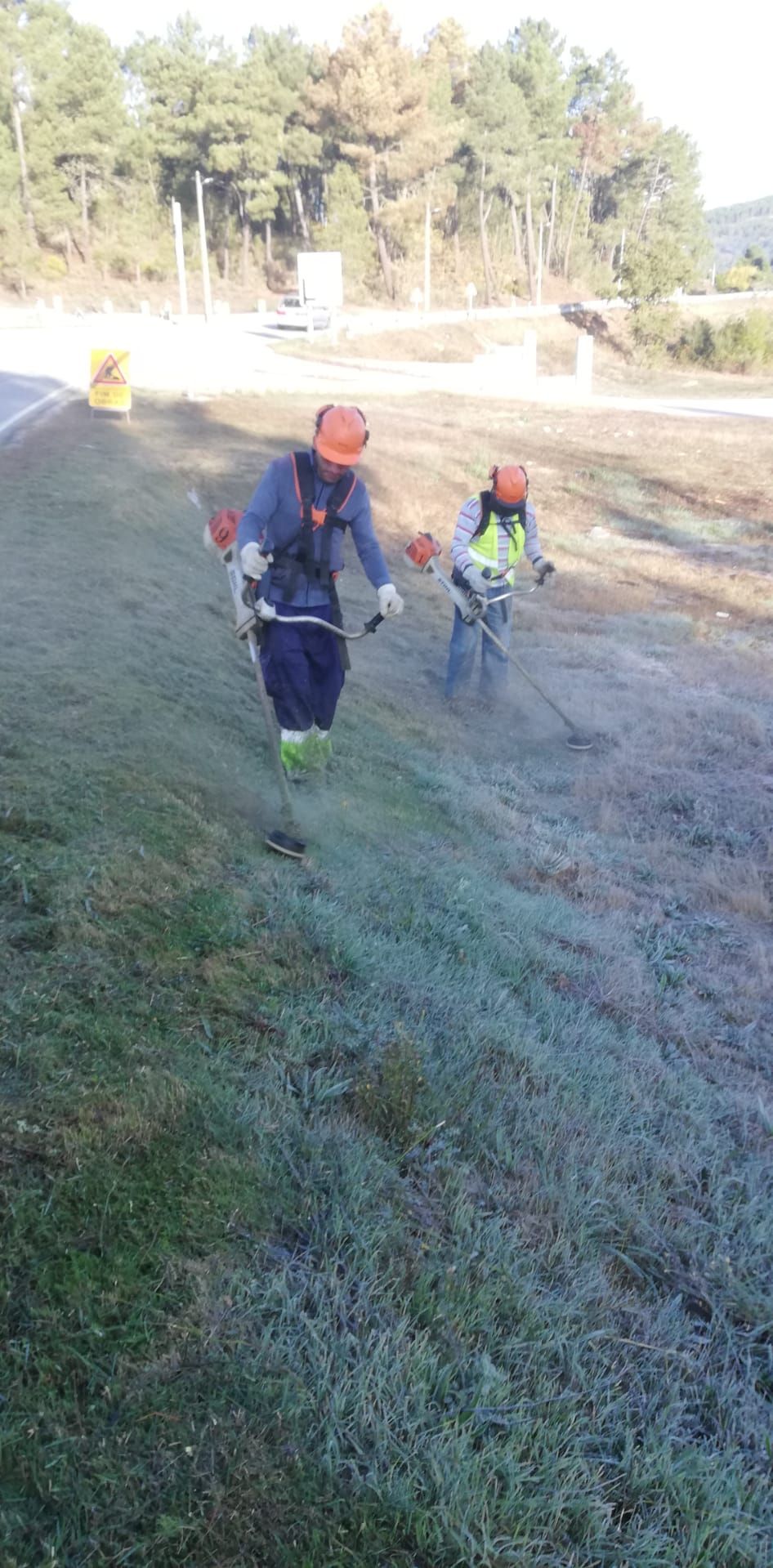 Terragest - Sivicultura e Exploração Florestal - Covilhã - Multi Service Lawn Care