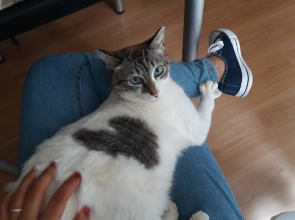 Diana Gomes - Barcelos - Pet Sitting