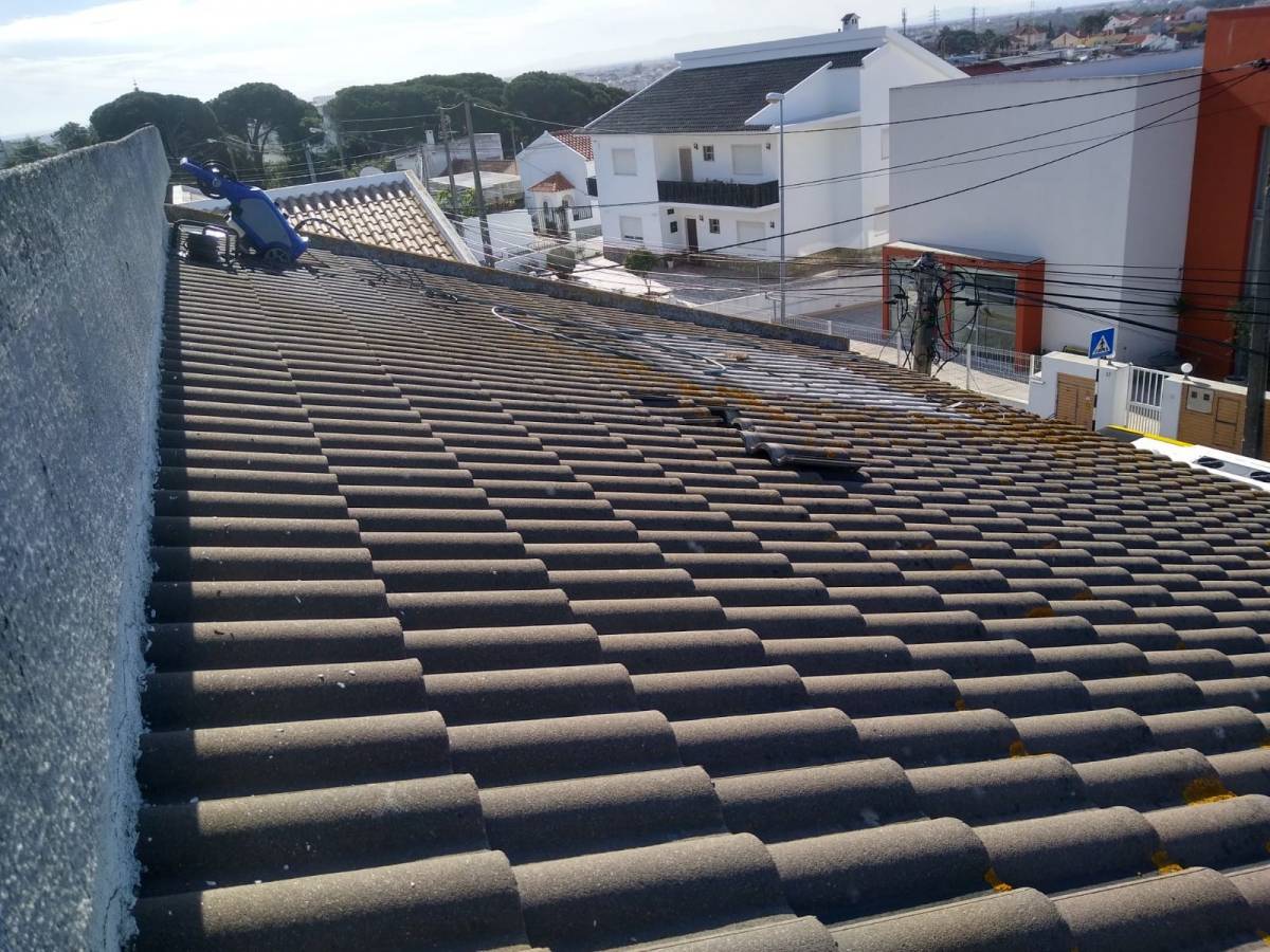 Scapinello Remodelação e construções - Seixal - Instalação de Porta para Animais de Estimação