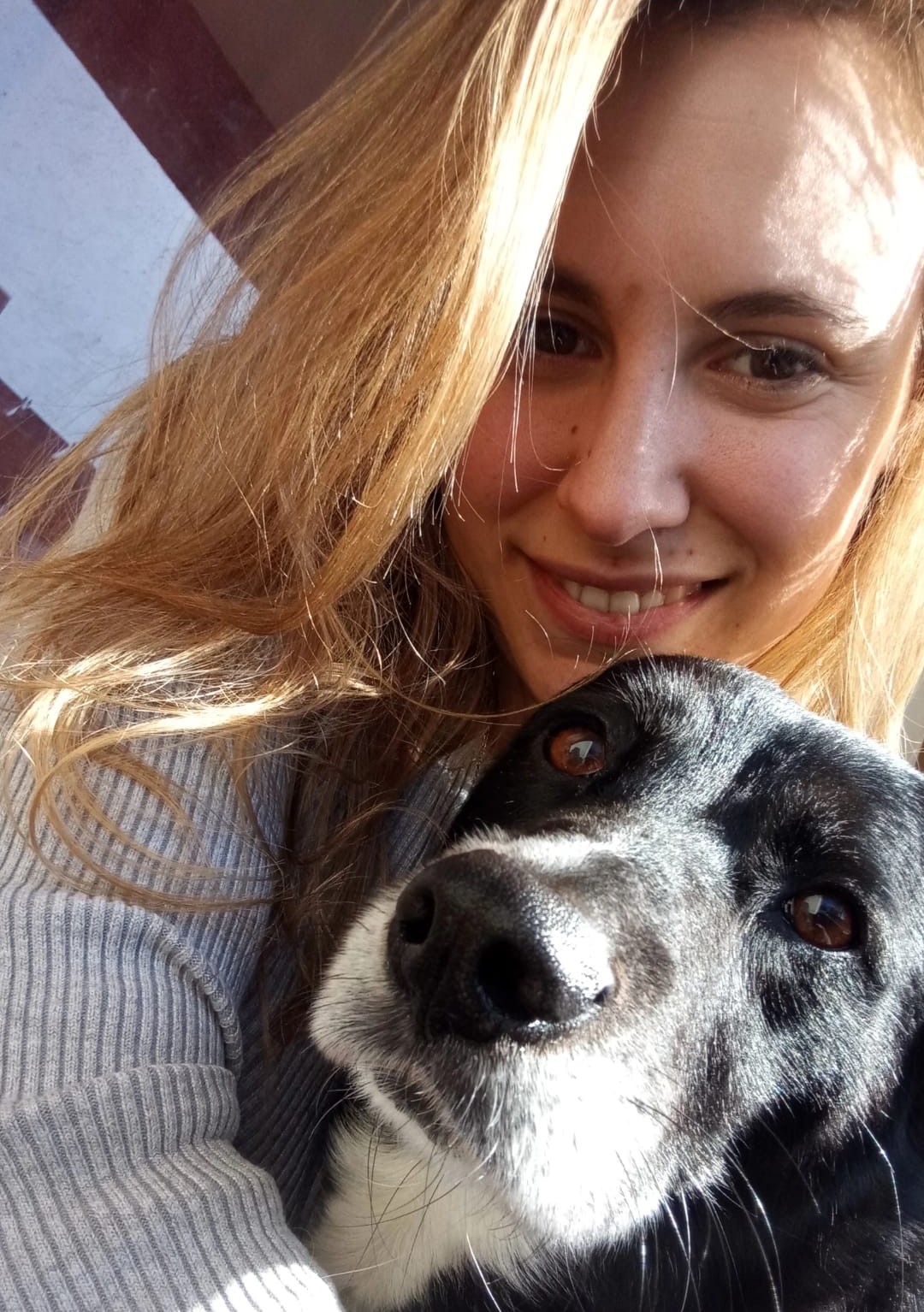 Sara Romão - Porto - Baths and Grooming for Animals