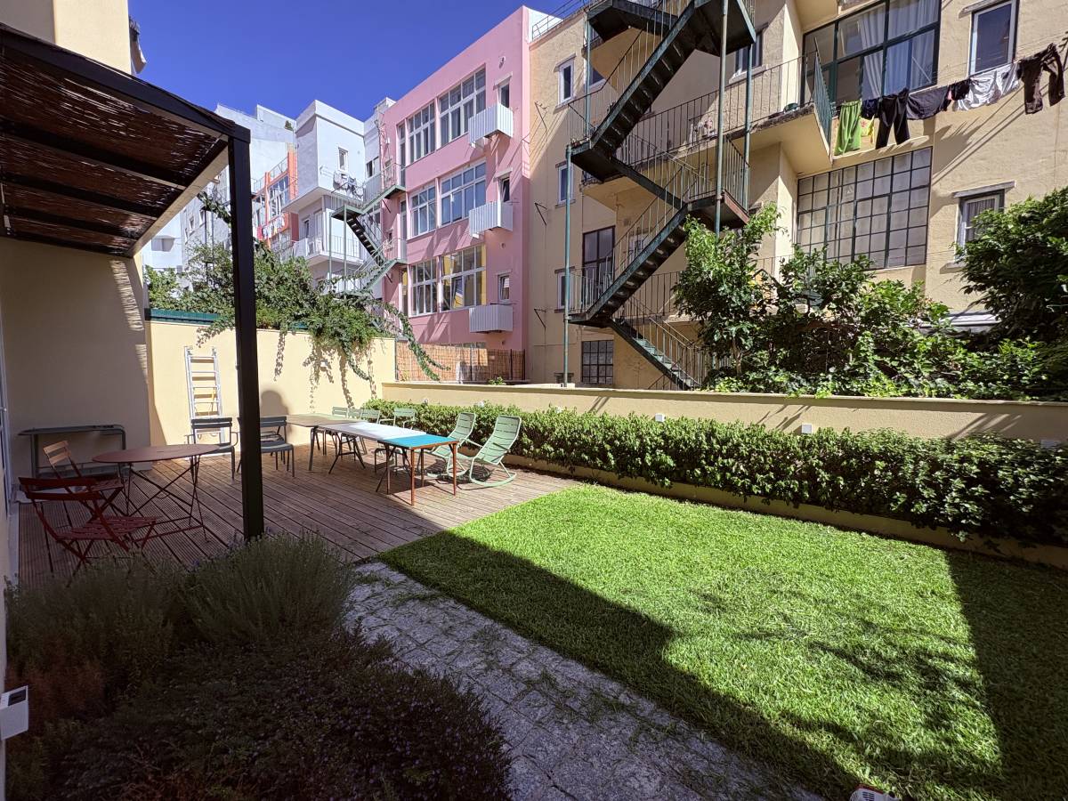 Monstera Gardening - Lisboa - Remoção de Tronco de Árvore
