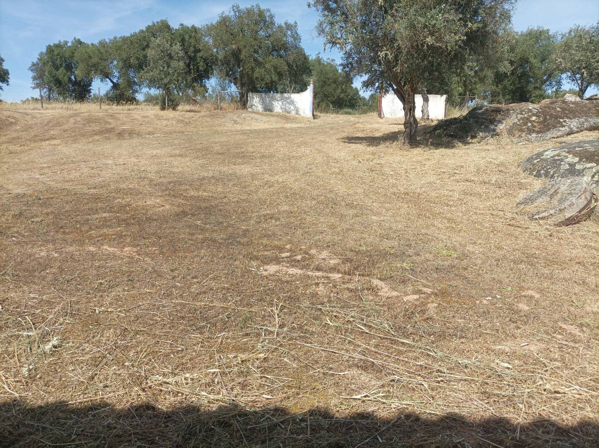 Quintais Limpos - Évora - Mantenimiento del sistema de riego por goteo