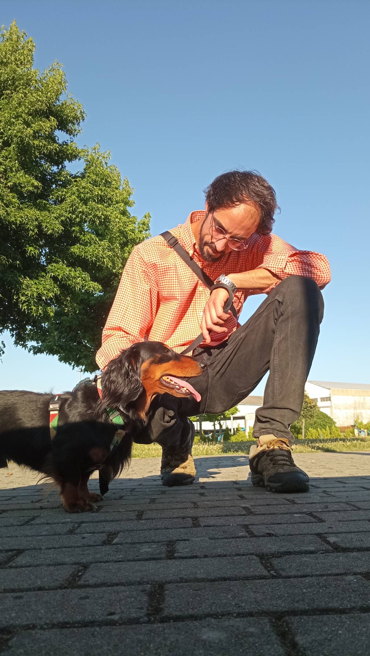 Ricardo - Bragança - Dog Walking