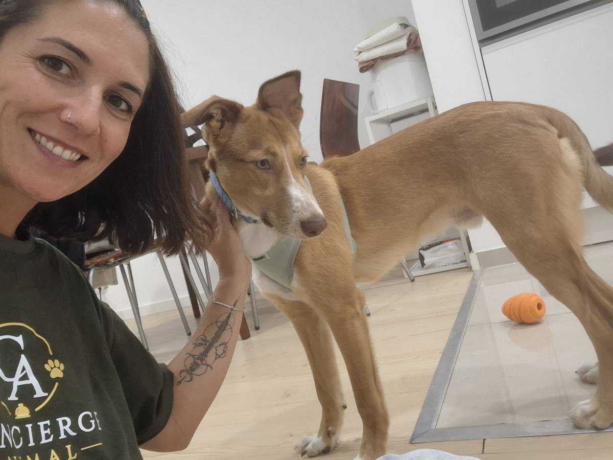 Sara Santos - Concierge Animal - Seixal - Hundesitter
