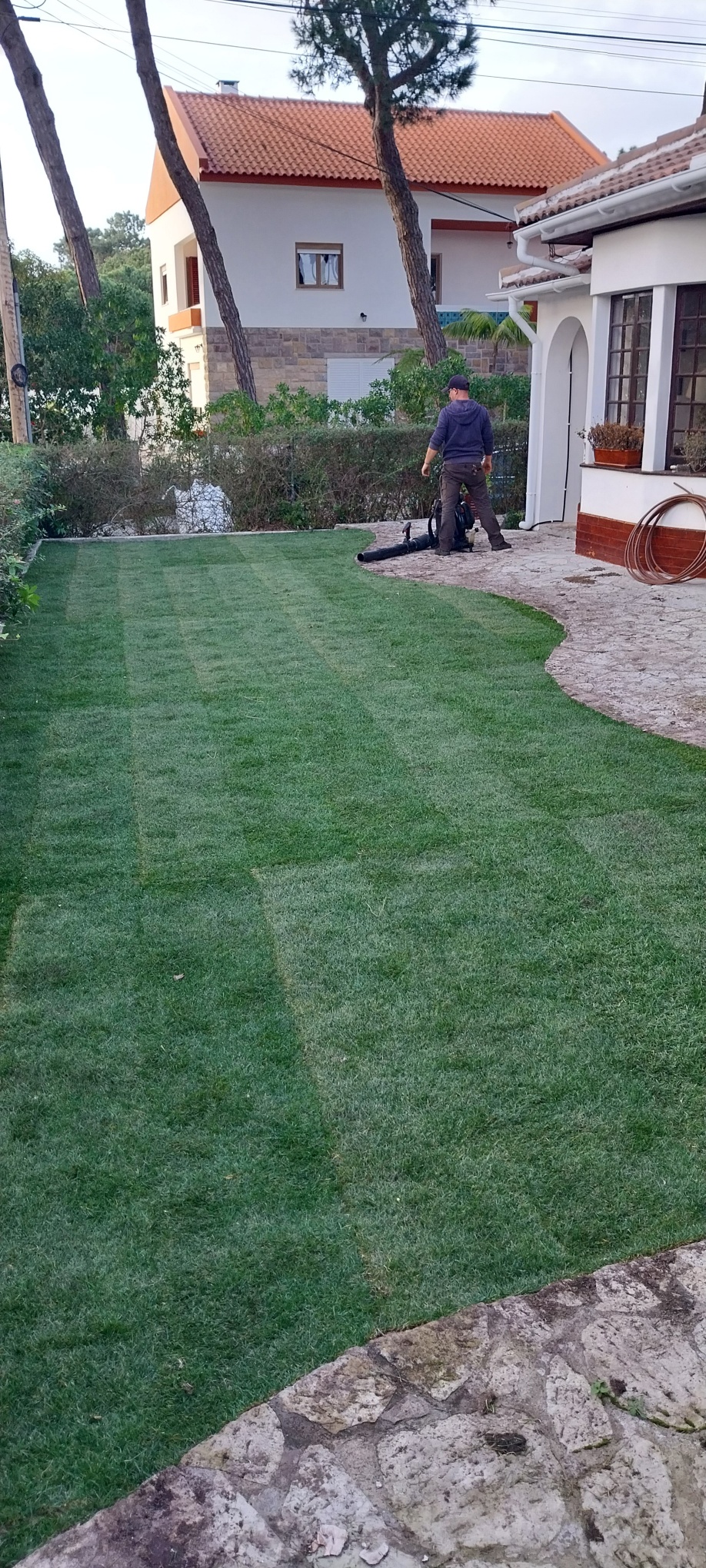 Lawncare