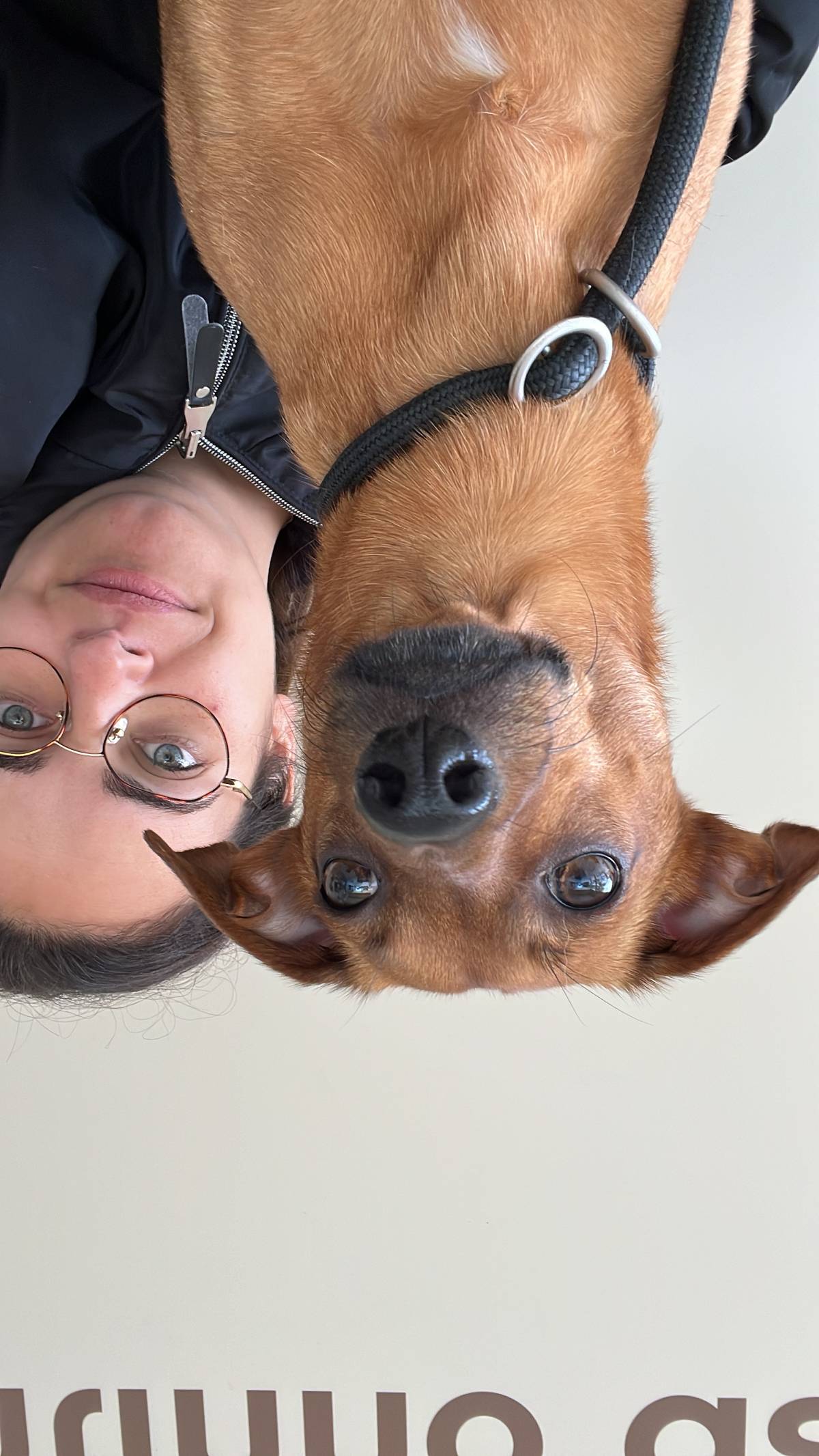 Cláudia Bartolo - Porto - Garderie pour chiens