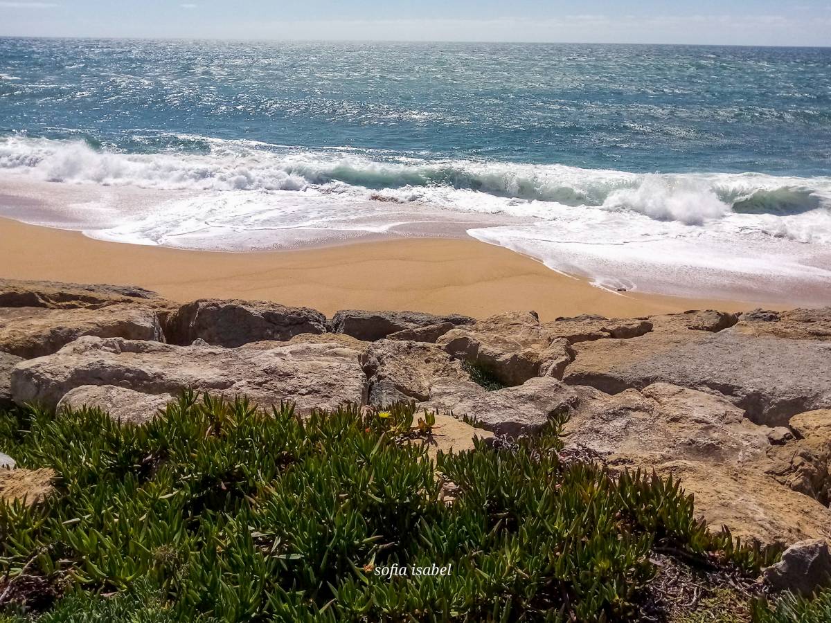 Sofia Isabel - Lourinhã - Real Estate Photography