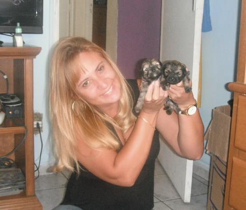 cuidadora de cães pequeno porte - Leiria - Hospedaje y guarderías de mascotas