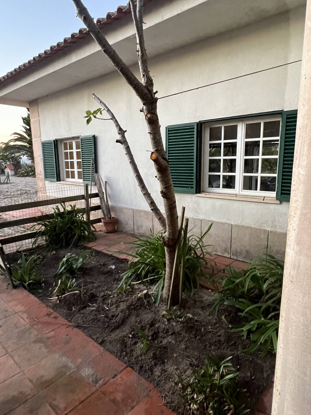 Land Clearance