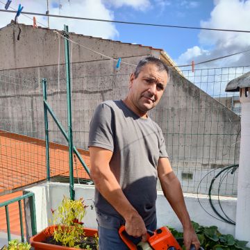 Carlos Magalhaes - Guimarães - Poda e Manutenção de Árvores