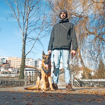 Ricardo Neves - Bragança - Hundetraining - Privatunterricht