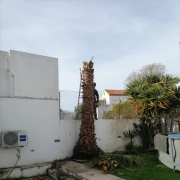 Quintais Limpos - Évora - Paisajismo