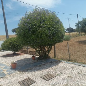 Quintais Limpos - Évora - Instalación de césped artificial