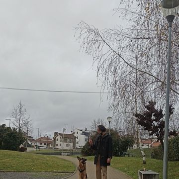 Ricardo Neves - Bragança - Dog Walking