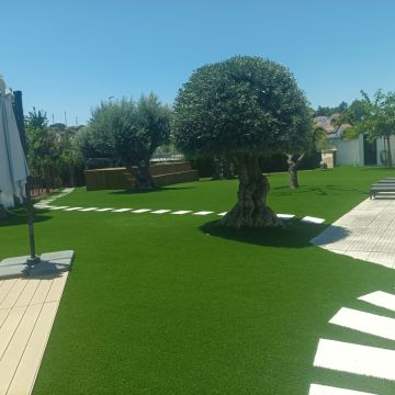 Quintais Limpos - Évora - Trituración y eliminación de tocones