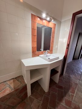 OldNewHouse - Caldas da Rainha - Plantação de Árvores