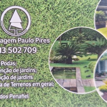 Paulo pires - Penafiel - Nivelação de Terreno - Grande Dimensão (mais de 1 hectar)