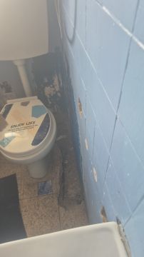 Ednaldo lopes - Vila Franca de Xira - Nettoyage en profondeur