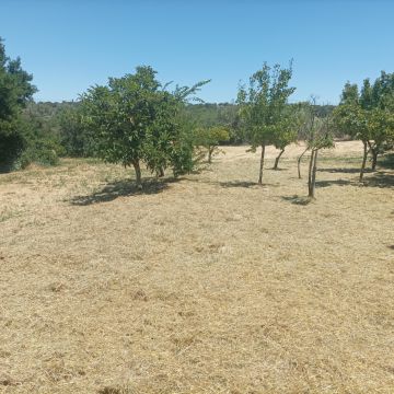 Quintais Limpos - Évora - Instalación de sistemas de aspersores