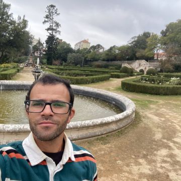Delgado jardins - Almada - Baumpflege