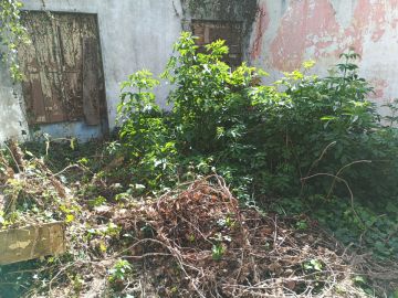 Especialista em Remoção de Amianto - Casa
