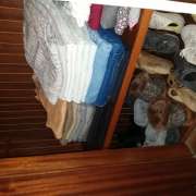 Ara - Vila Nova de Gaia - Cat Sitting