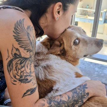 Sara Santos - Concierge Animal - Seixal - Katzensitter