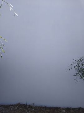 Scapinello Remodelação e construções - Seixal - Instalação ou Reparação de Rede de Proteção ou Mosquiteira