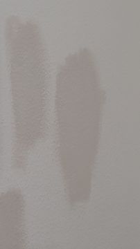Pintor de Casas