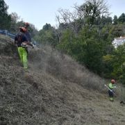 Terragest - Sivicultura e Exploração Florestal - Covilhã - Lawn Mowing and Trimming