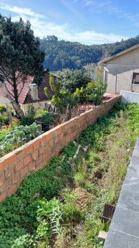 Construtor de Muros