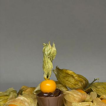 Nilza Ribeiro - Ílhavo - Pasteles y dulces
