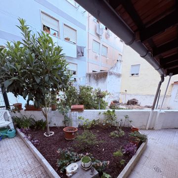 Monstera Gardening - Lisboa - Remoção de Arbustos