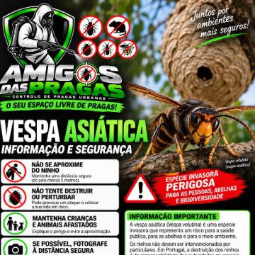 Amigos das Pragas - Vila Franca de Xira - Controlo de Pragas