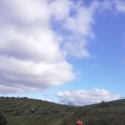 Terragest - Sivicultura e Exploração Florestal - Covilhã - Weeding