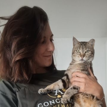 Sara Santos - Concierge Animal - Seixal - Katzensitter
