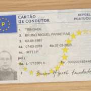 GoMobility - Sintra - Driver